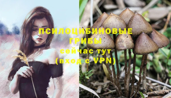 мефедрон Белокуриха